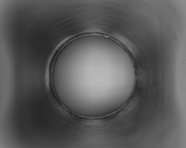 X0000102811076200808251104