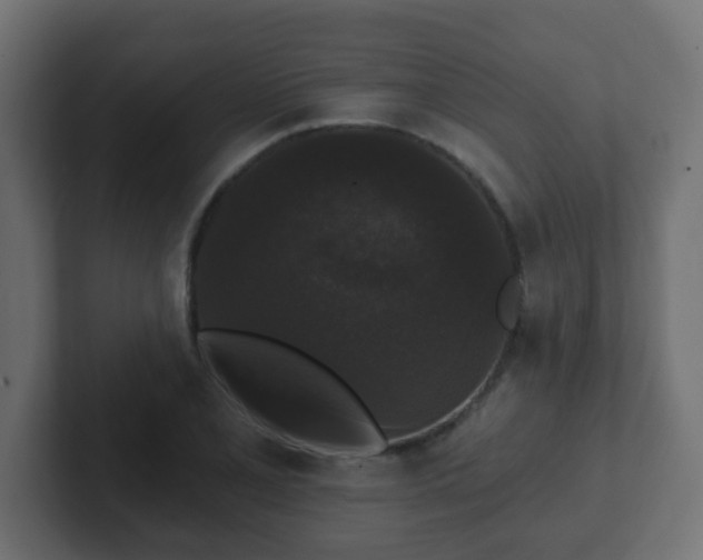 X0000102811077200808251104