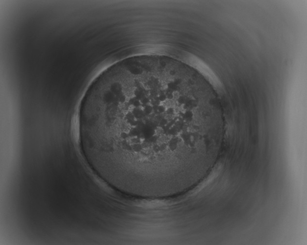 X0000102811079200808251104