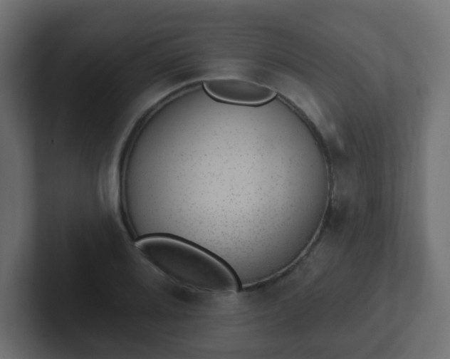 X0000102811080200808251104