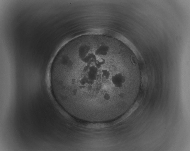 X0000102811083200808251104