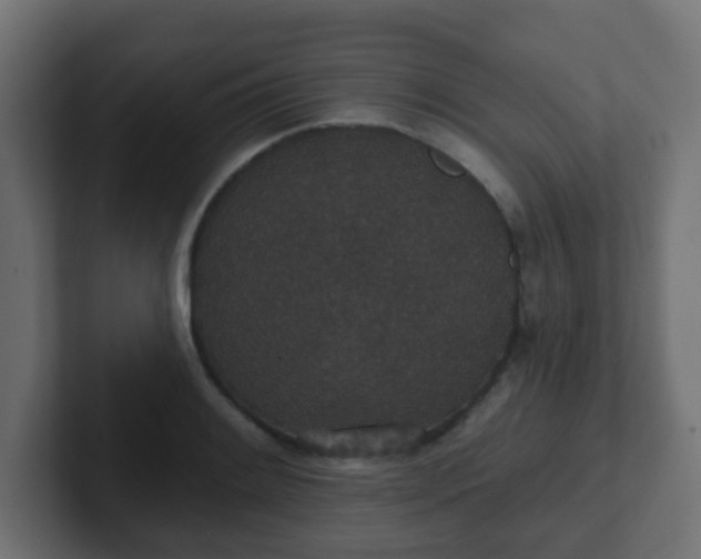 X0000102811084200808251104