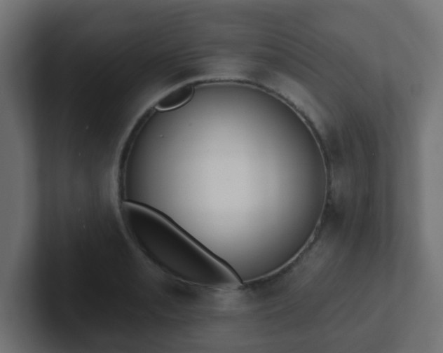 X0000102811085200808251104