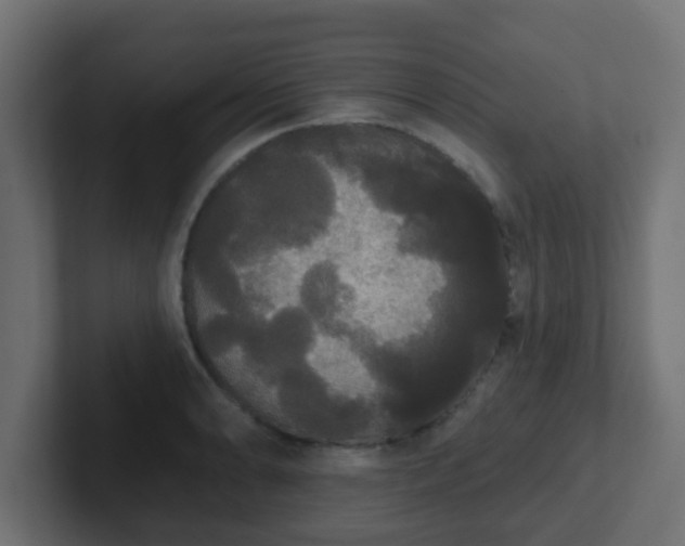 X0000102811086200808251104