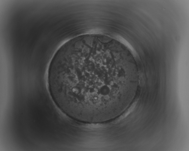 X0000102811087200808251104