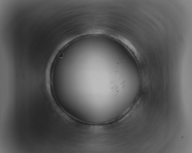 X0000102811088200808251104