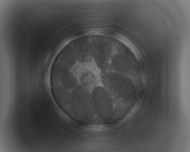 X0000102811090200808251104