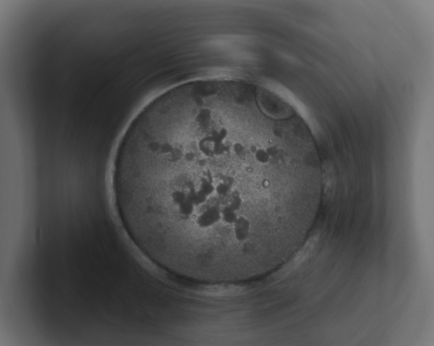 X0000102811091200808251104