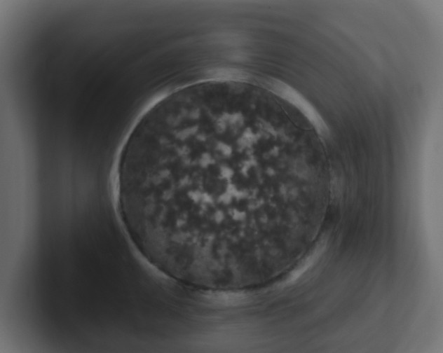 X0000102811095200808251104