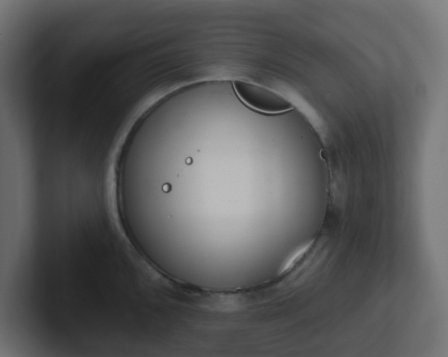 X0000102811096200808251104