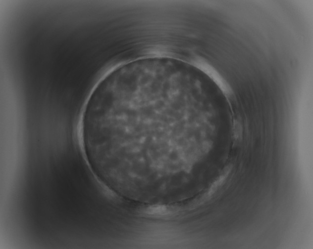 X0000102811098200808251104