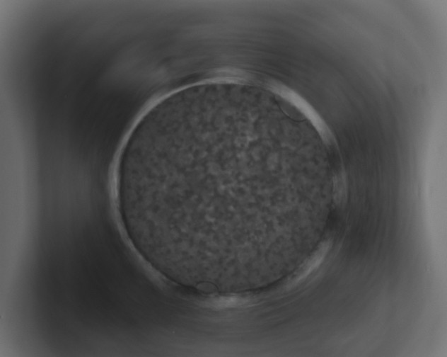 X0000102811099200808251104