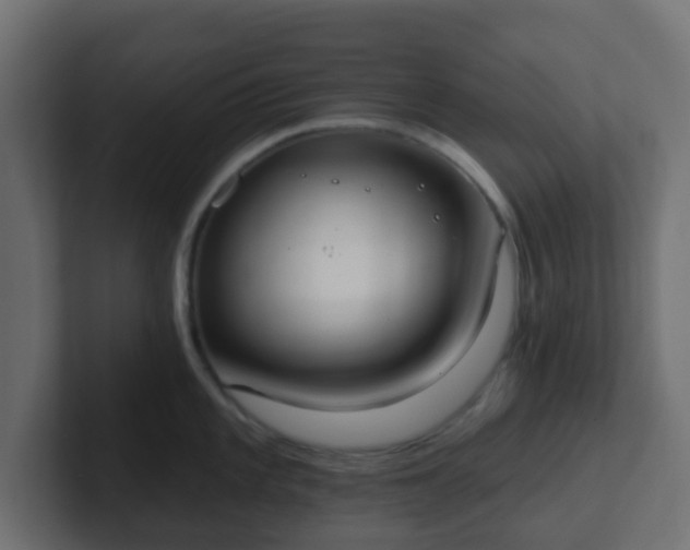 X0000102811101200808251104