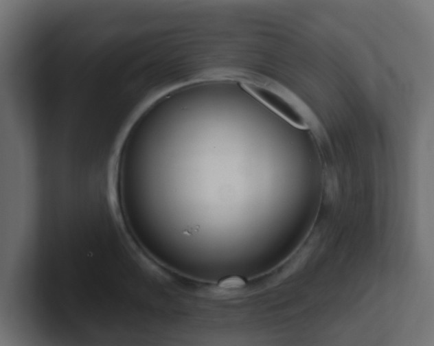 X0000102811102200808251104