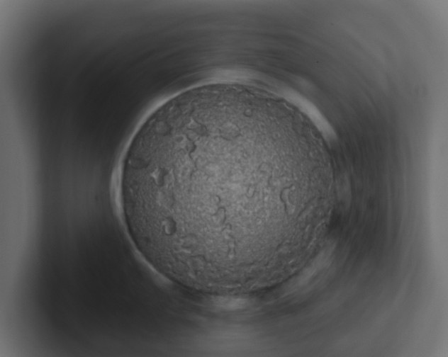 X0000102811103200808251104