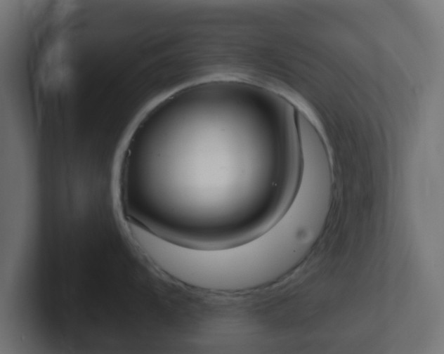 X0000102811104200808251104