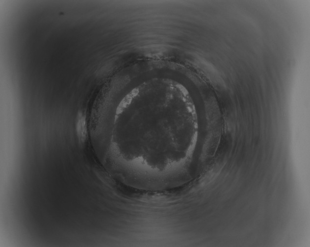 X0000102811106200808251103