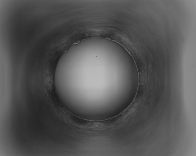 X0000102811109200808251103