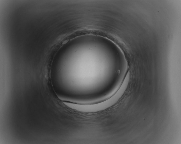 X0000102811110200808251103