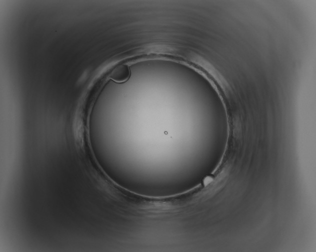 X0000102811115200808251103