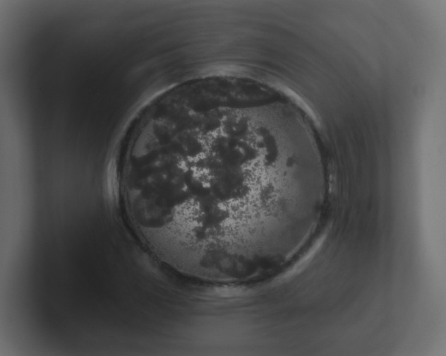 X0000102811117200808251103