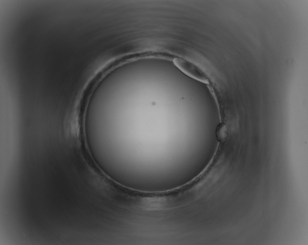 X0000102811118200808251103