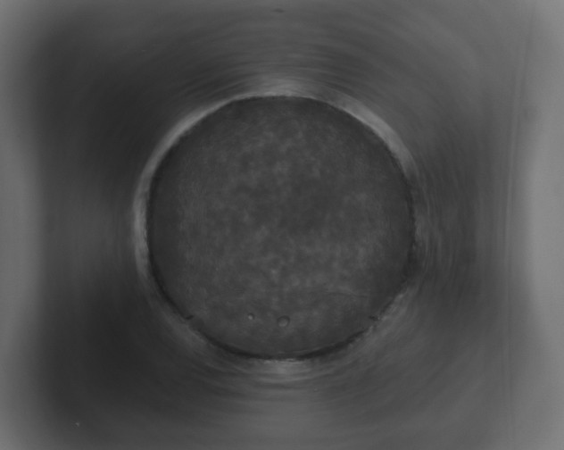 X0000102811120200808251103