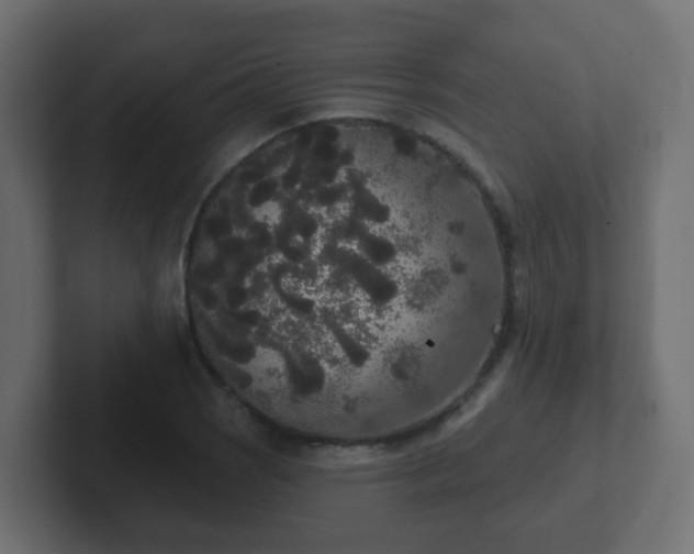 X0000102811121200808251104