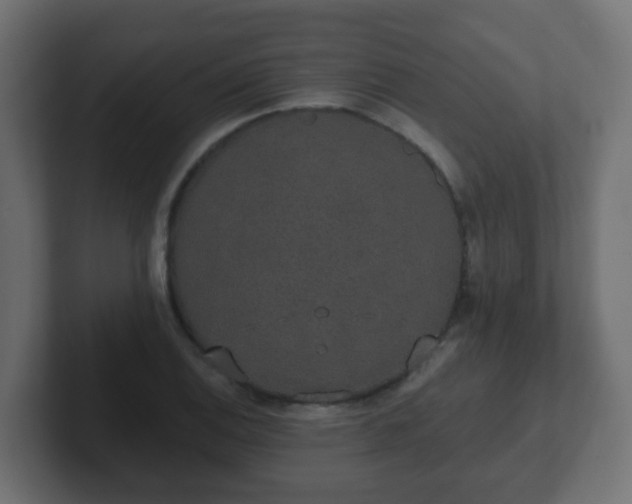 X0000102811124200808251104