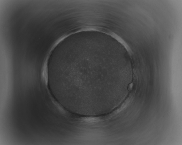 X0000102811127200808251104