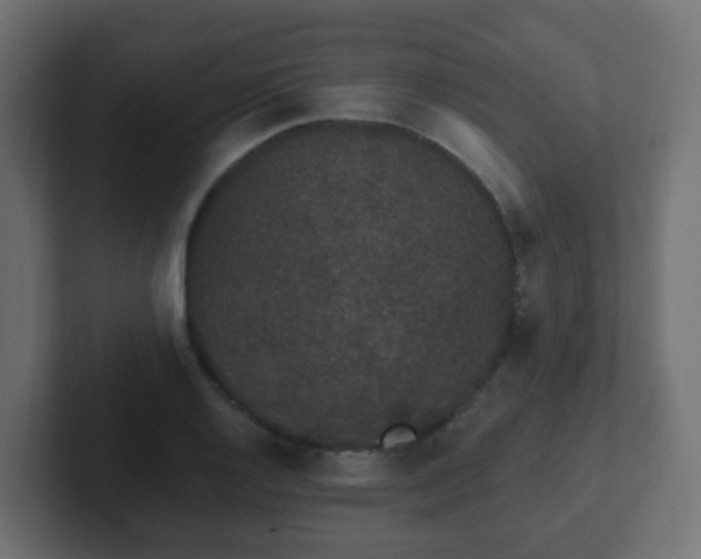 X0000102811128200808251104