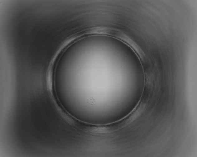 X0000102811131200808251104