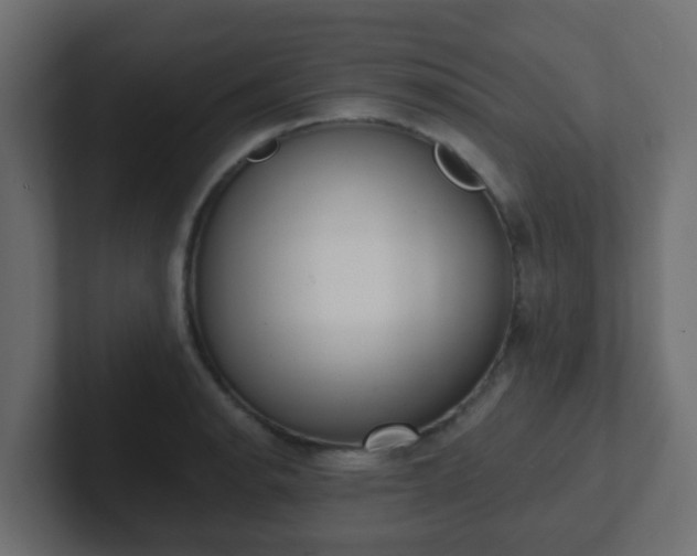 X0000102811134200808251104