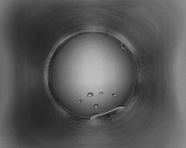 X0000102811136200808251104