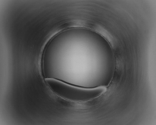 X0000102811138200808251104