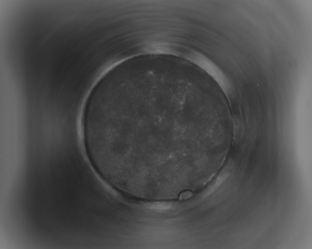 X0000102811141200808251104