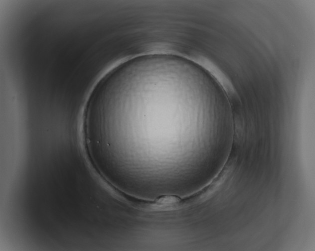 X0000102811142200808251104