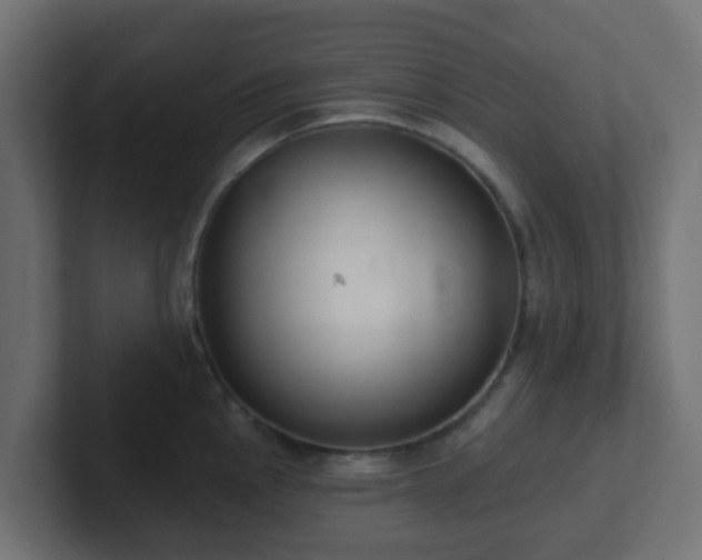 X0000102811145200808251104