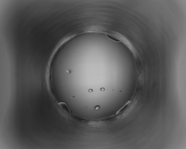 X0000102811146200808251104