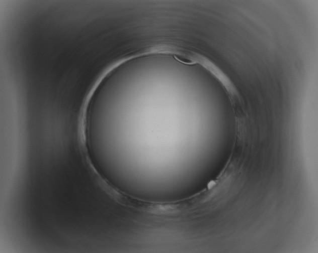 X0000102811148200808251104