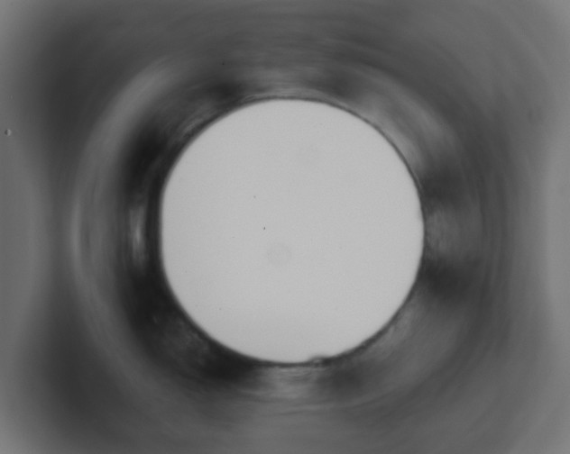 X0000102811150200808251104