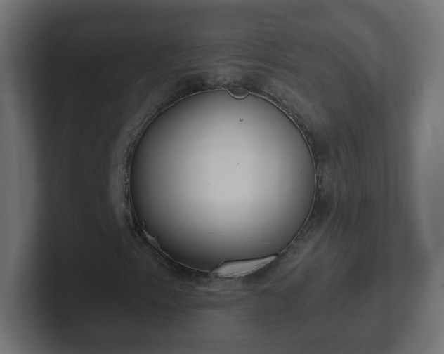 X0000102811153200808251103