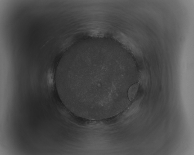 X0000102811154200808251103