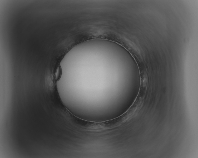 X0000102811156200808251103