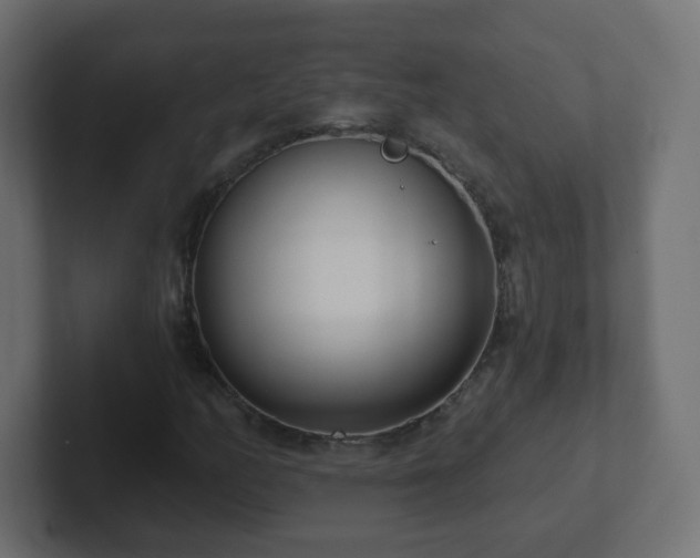 X0000102811158200808251103