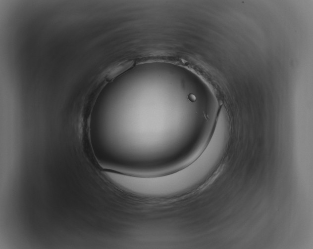 X0000102811161200808251103