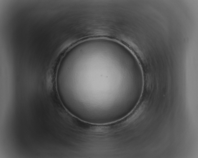 X0000102811163200808251103