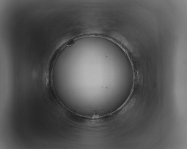 X0000102811165200808251103