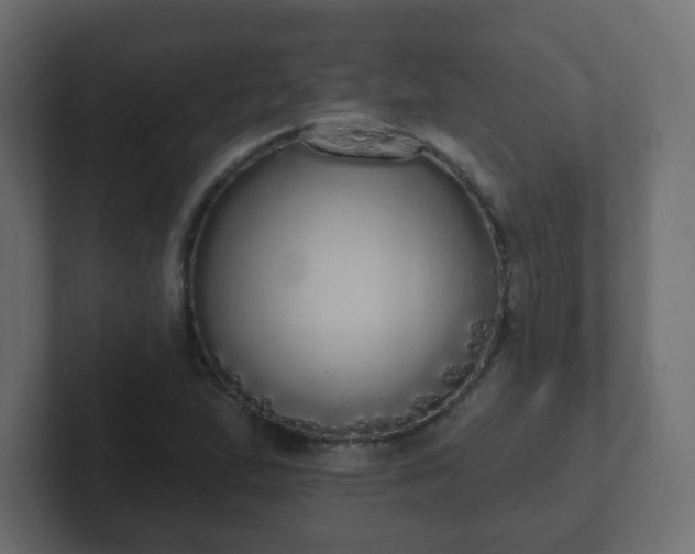 X0000102811167200808251103