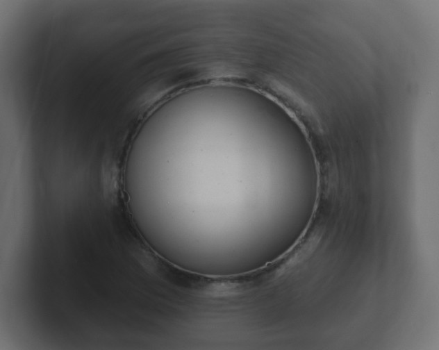 X0000102811169200808251103